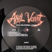 Плоча на Anal Vomit - Into the eternal agony. Death Metal, снимка 3 - Грамофонни плочи - 42377538