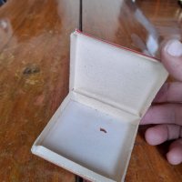 Стара кутия от Златна Арда, снимка 6 - Колекции - 42573822
