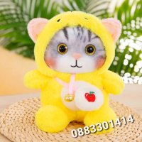 Плюшени облечени котета в различни цветове , снимка 4 - Плюшени играчки - 42547858