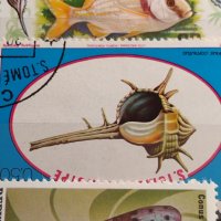 Пощенски марки смесени серий МОРСКИ СВЯТ РИБИ,РАКОВИНИ,МИДИ много красиви 37890, снимка 8 - Филателия - 40445068