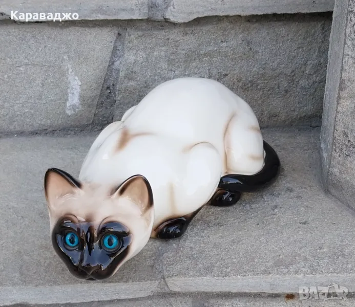 Сиамска Котка, снимка 1