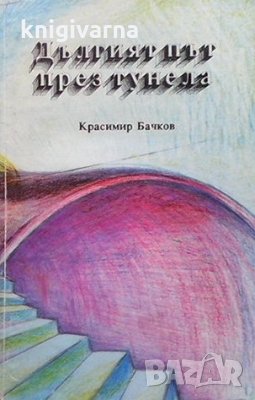 Дългият път през тунела Красимир Бачков, снимка 1