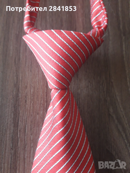 Вратовръзка, снимка 1