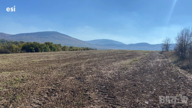 Евтина земя до Провадия - Дългопол, обл. Варна, снимка 6 - Земеделска земя - 53720204