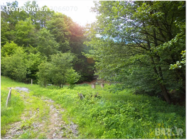 Продавам имот до река, снимка 11 - Къщи - 50265257