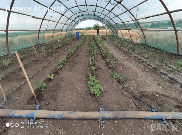 Холандско хале конструкция , снимка 2 - Складове - 47624110