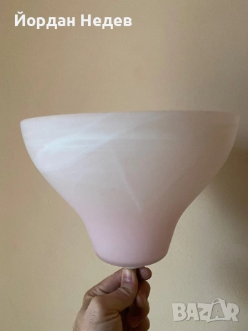 Полилей , снимка 3 - Полилеи - 53176806