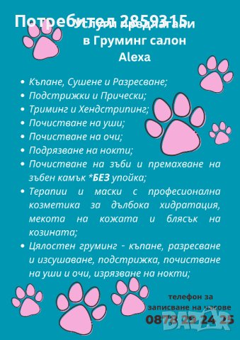 Grooming salon Alexa by Elitsa Daskalova - груминг салон в град Хасково, снимка 2 - Ветеринари и услуги - 41871844