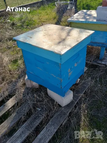 Кошери ДБ, снимка 2 - За пчели - 49433991