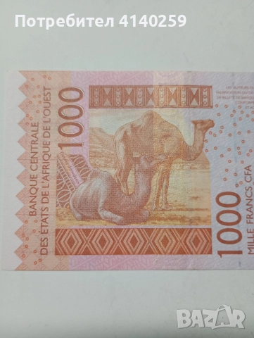 ЗАПАДНА АФРИКА 1000 ФРАНКА , снимка 5 - Нумизматика и бонистика - 52621125