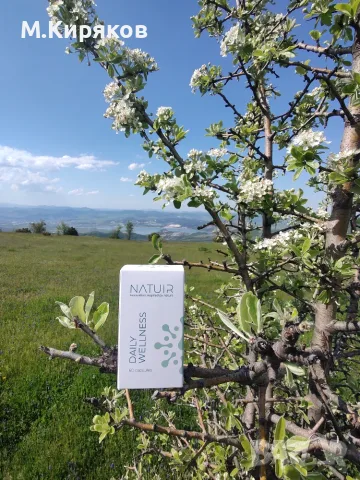 Daily Wellness от Natuir - енергия, баланс и дълголетие. Геропротектор без аналог, снимка 3 - Хранителни добавки - 54362662