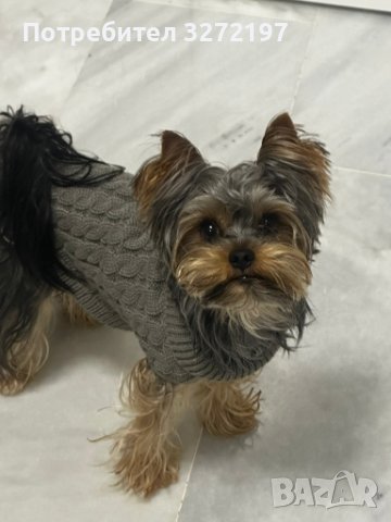 Toпъл пуловер за куче - високо качество, снимка 12 - За кучета - 41015299