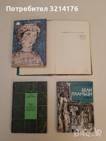 Воденските майстори - Георги Томалевски, снимка 2 - Българска литература - 51330502