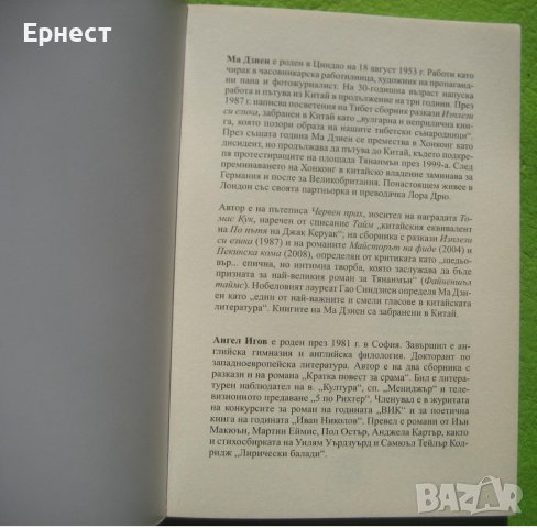 книга Майсторът на фиде автор Ма Дзиен, снимка 2 - Художествена литература - 41545935