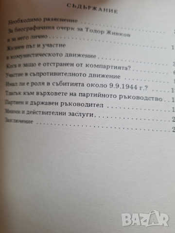 Нищожество в доспехите на величие	- Петър Семерджиев, снимка 6 - Българска литература - 44567590