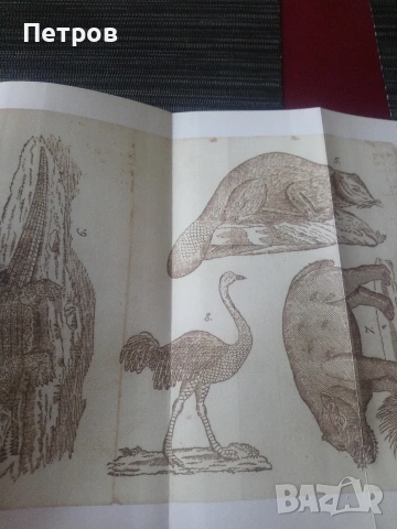 Рибен буквар-юбилейно издание! , снимка 5 - Други - 53653771