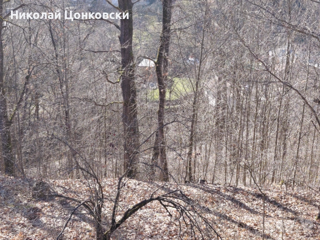 Продавам вилна сграда на груб строеж с дворно място, снимка 7 - Вили - 53587971