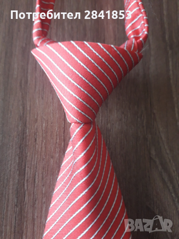 Вратовръзка, снимка 1