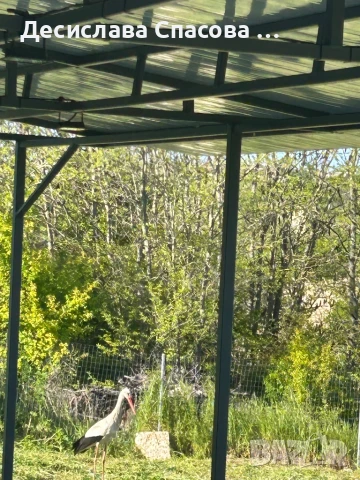 Къща за гости Дуранкулак, снимка 17 - Почивки на море - 46931410