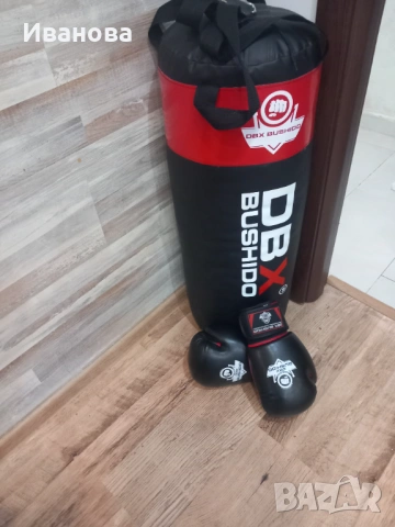 Боксова круша Нова, снимка 5 - Бокс - 53620638