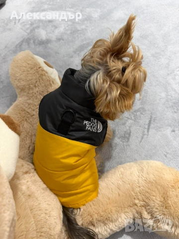 Якета за малки породи кучета, снимка 7 - За кучета - 53423515