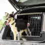 Ferplast Atlas Car Scenic 100 - Транспортна клетка за кучета, с опция за пренасяне на кучета, 100х, снимка 4