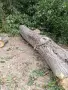 орехов дънер отличен, снимка 3