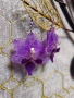 "Purple Orchid" Тези изящни обеци съдържат истинска мини орхидея в красиви розово-лилави нюанси, снимка 2