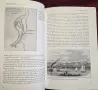 Memphis In Black and White. The Making of America, снимка 6