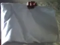  Бархет 100 % памук , снимка 3