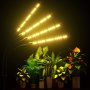 Лампа за отглеждане на растения STELS, Трипод, Таймер, Черен , снимка 8