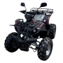 Електрическо ATV - Grizzly 2500W (Черен) 2026, снимка 1