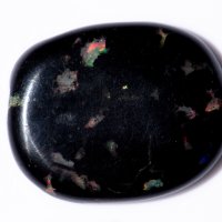 Черно опализирано дърво 13.73ct овален кабошон, снимка 1 - Други - 41147052