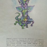 Каменното цвете - П.Богданова - 1971г., снимка 4 - Детски книжки - 41854415