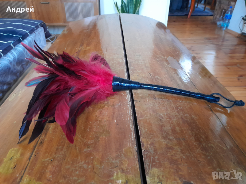 Стара четка за прах, снимка 1