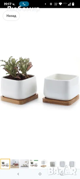 T4U Саксии за сукуленти, Саксии с бамбукови чинийки, Правоъгълен керамичен контейнер за кактуси

, снимка 1