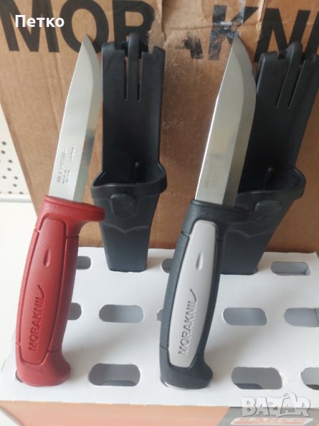 Мора Робуста , снимка 1