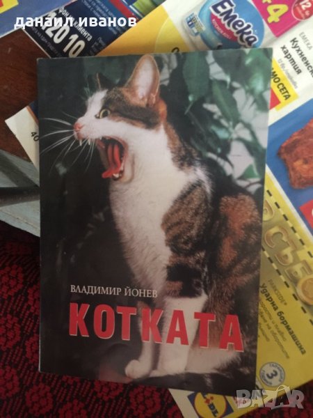 Котката код 740, снимка 1