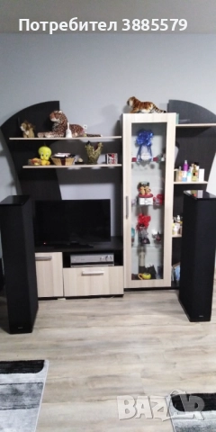 Тонколони Definitive technologies BP 2002, снимка 10 - Тонколони - 52514771