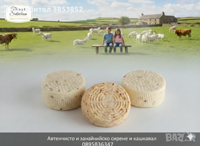 Продавам кашкавал,, снимка 2 - За селскостопански - 53224000