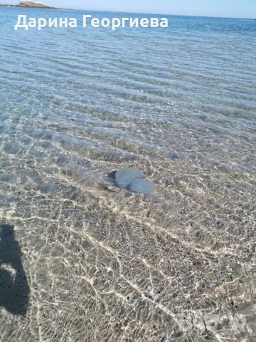 Уютен дом на брега на морето , снимка 13 - Апартаменти - 52161681