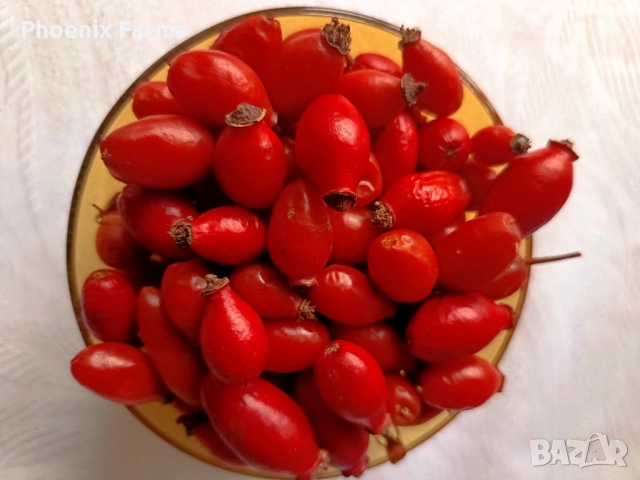 Шипки, Билков пчелен Мед, Боров прашец, коприва, пелин, снимка 6 - Домашни продукти - 50332840