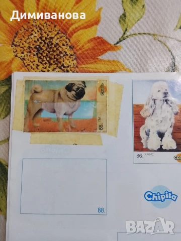 Албум за стикери Chipita Game картинки с кученца, снимка 10 - Колекции - 53524213