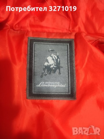  Яке Ламборгини 