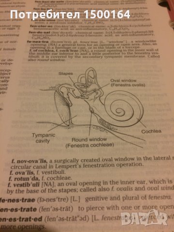 Медицински учебник.Dorland's illustrated Medical Dictionary 28.версия, снимка 5 - Специализирана литература - 35776907