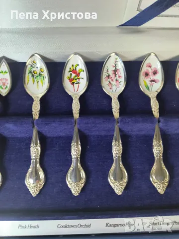Комплект емайлирани посребрени чаени лъжички, снимка 4 - Прибори за хранене, готвене и сервиране - 49694472