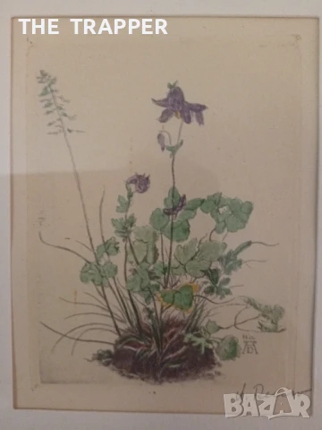 Албрехт Дюрер, Albrecht Durer , снимка 2 - Антикварни и старинни предмети - 50520967