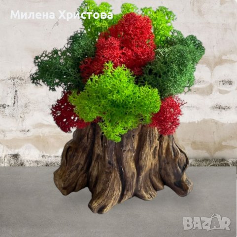 Кашпи със скандинавски мъх, снимка 2 - Декорация за дома - 40544591