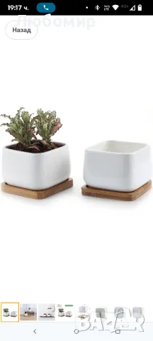 T4U Саксии за сукуленти, Саксии с бамбукови чинийки, Правоъгълен керамичен контейнер за кактуси

