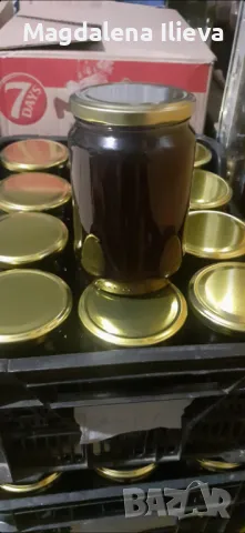 Манов мед 100% ECO, снимка 4 - Пчелни продукти - 47439523